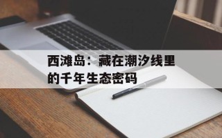 西滩岛：藏在潮汐线里的千年生态密码