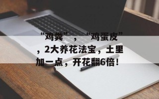 “鸡粪”，“鸡蛋皮”，2大养花法宝，土里加一点，开花翻6倍！