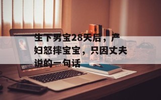 生下男宝28天后，产妇怒摔宝宝，只因丈夫说的一句话