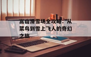 嵩山滑雪场全攻略：从菜鸟到雪上飞人的奇幻之旅