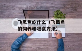 飞凤鱼吃什么（飞凤鱼的饲养和喂食方法）