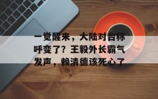 一觉醒来，大陆对台称呼变了？王毅外长霸气发声，赖清德该死心了