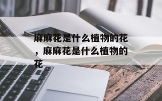 麻麻花是什么植物的花，麻麻花是什么植物的花