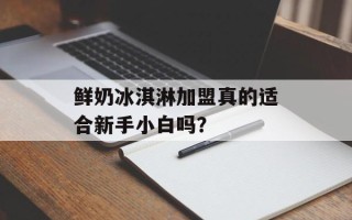鲜奶冰淇淋加盟真的适合新手小白吗？