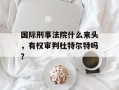 国际刑事法院什么来头，有权审判杜特尔特吗？