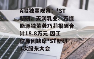 A股独董观察：*ST新研、天润乳业、万憬能源独董龚巧莉报酬合计18.8万元 因工作原因缺席*ST新研3次股东大会