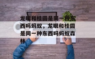 龙眼和桂圆是同一种东西吗蚂蚁，龙眼和桂圆是同一种东西吗蚂蚁森林