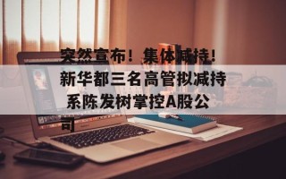 突然宣布！集体减持！新华都三名高管拟减持 系陈发树掌控A股公司