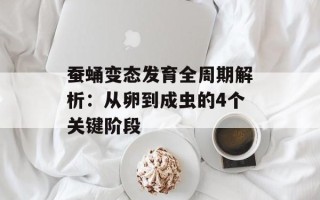 蚕蛹变态发育全周期解析：从卵到成虫的4个关键阶段