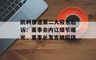 凯利泰遭第二大股东起诉：董事会内讧细节曝光，董事长发言被阻挠