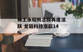 稀土永磁概念股再度活跃 龙磁科技涨超14%