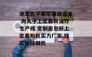 速冻丸子裹浆裹糠设备 肉丸子上浆裹粉油炸生产线 定制面包虾上浆裹粉机实力厂家 挂浆机挂糊机