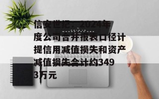 信安世纪：2024年度公司合并报表口径计提信用减值损失和资产减值损失合计约3493万元