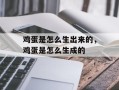 鸡蛋是怎么生出来的，鸡蛋是怎么生成的