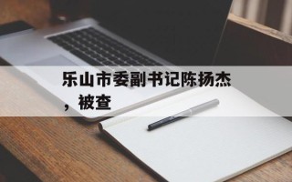 乐山市委副书记陈扬杰，被查