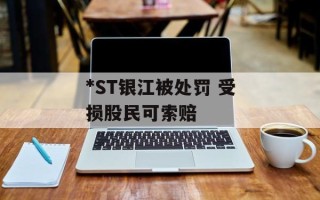 *ST银江被处罚 受损股民可索赔