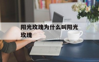 阳光玫瑰为什么叫阳光玫瑰