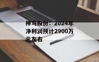 神马股份：2024年净利润预计2900万元左右
