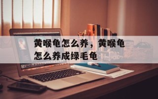黄喉龟怎么养，黄喉龟怎么养成绿毛龟