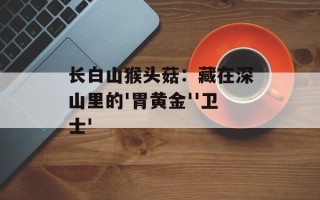 长白山猴头菇：藏在深山里的'胃黄金''卫士'