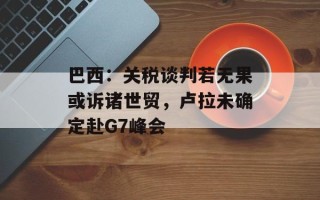 巴西：关税谈判若无果或诉诸世贸，卢拉未确定赴G7峰会