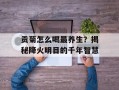 贡菊怎么喝最养生？揭秘降火明目的千年智慧