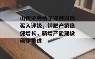 山西证券给予亚钾国际买入评级，钾肥产销稳健增长，新增产能建设稳步推进