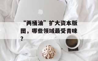 “两桶油”扩大资本版图，哪些领域最受青睐？
