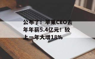 公布了！苹果CEO去年年薪5.4亿元！较上一年大增18%