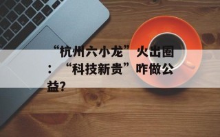 “杭州六小龙”火出圈：“科技新贵”咋做公益？