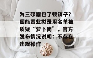 为三碟醋包了顿饺子？国能置业拟录用名单被质疑“萝卜岗”，官方发布情况说明：不存在违规操作