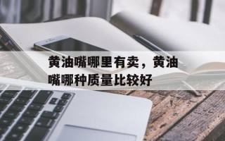黄油嘴哪里有卖，黄油嘴哪种质量比较好