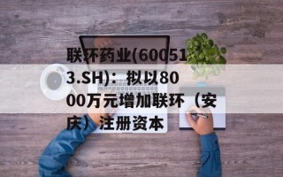 联环药业(600513.SH)：拟以8000万元增加联环（安庆）注册资本