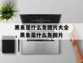 黑鱼是什么鱼图片大全，黑鱼是什么鱼图片