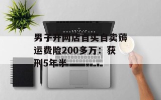 男子开网店自买自卖薅运费险200多万：获刑5年半