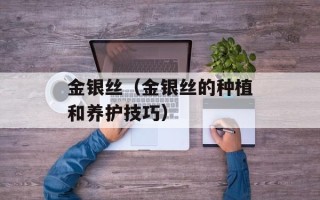 金银丝（金银丝的种植和养护技巧）