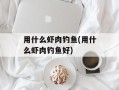 用什么虾肉钓鱼(用什么虾肉钓鱼好)
