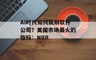 AI时代如何甄别软件公司？美国市场最火的指标：NRR