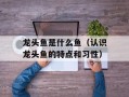 龙头鱼是什么鱼（认识龙头鱼的特点和习性）