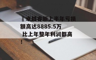 ﻿卓越睿新上半年亏损额高达8885.5万 比上年整年利润都高！