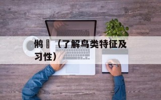鸺鹠（了解鸟类特征及习性）