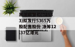 黑芝麻智能(02533)拟发行5365万股配售股份 净筹12.37亿港元