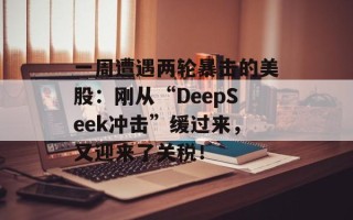 一周遭遇两轮暴击的美股：刚从“DeepSeek冲击”缓过来，又迎来了关税！