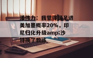 潘伟力：我觉得国足进美加墨概率20%，印尼归化升级amp;沙特换了教练