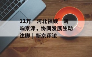 11万“河北福嫂”叫响京津，协同发展生动注脚 | 新京评论