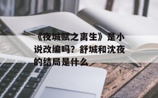 《夜城赋之离生》是小说改编吗？舒城和沈夜的结局是什么