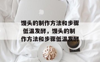 馒头的制作方法和步骤 低温发酵，馒头的制作方法和步骤低温发酵