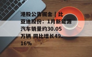 港股公告掘金 | 比亚迪股份：1月新能源汽车销量约30.05万辆 同比增长49.16%