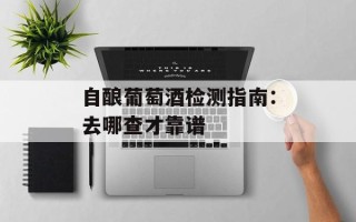 自酿葡萄酒检测指南：去哪查才靠谱