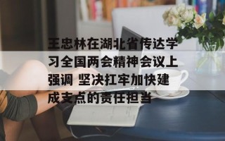王忠林在湖北省传达学习全国两会精神会议上强调 坚决扛牢加快建成支点的责任担当